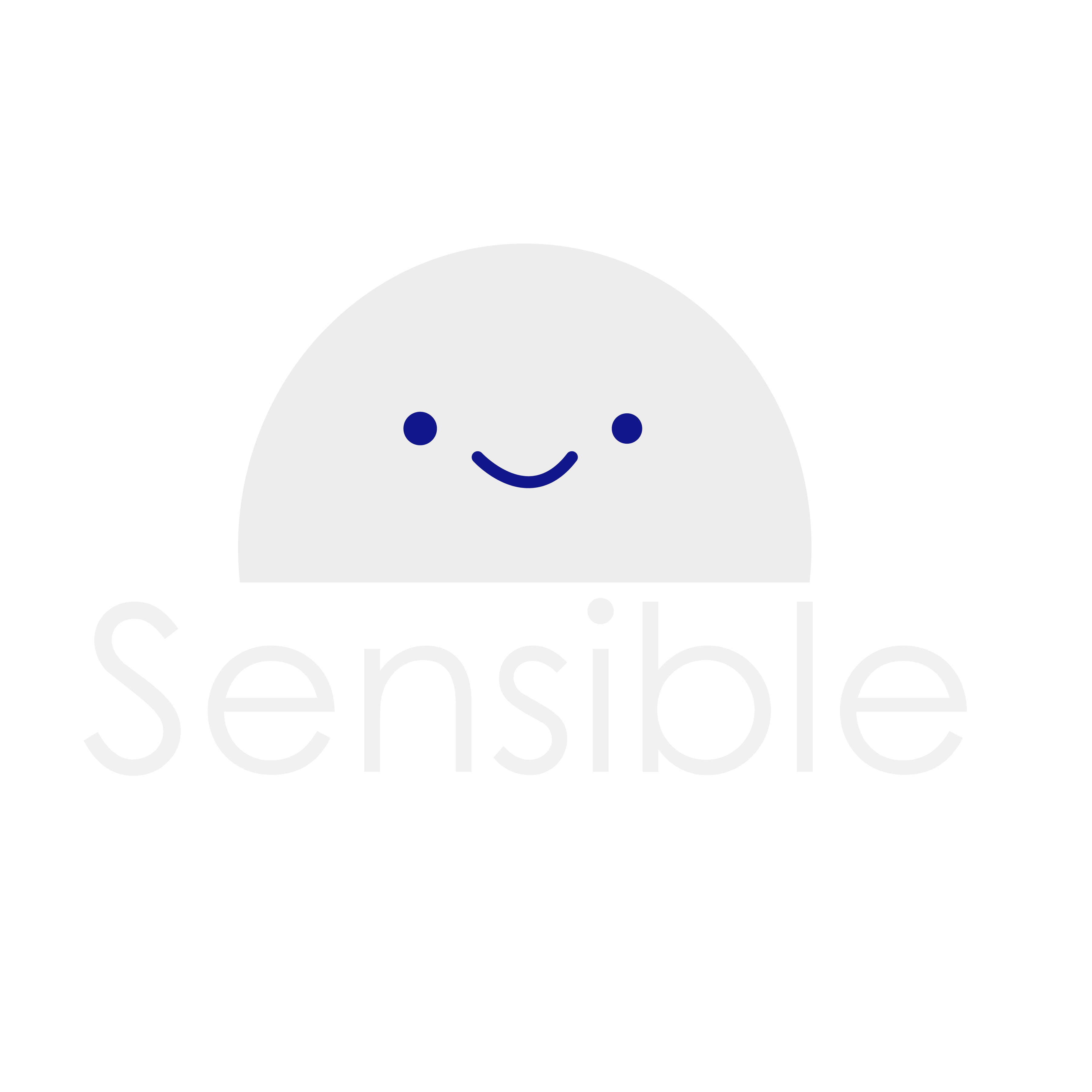 Sensible logo